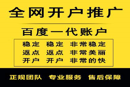 推广竞价策略解析：成功案例分享