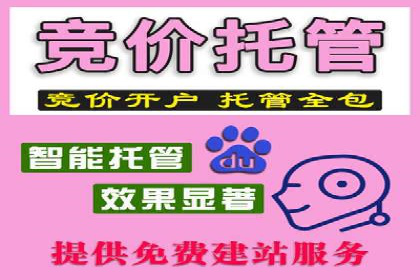 百度竞价排名实战：某行业领先企业的成功之路